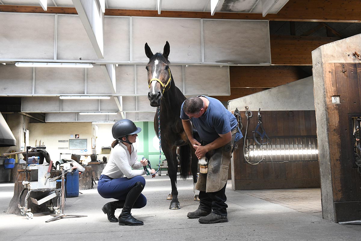 Choisir le bon soin du sabot pour son cheval