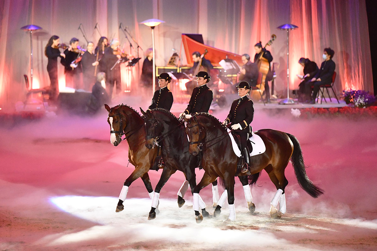 Dans les coulisses d’un gala du Cadre noir : de la préparation à l’événement