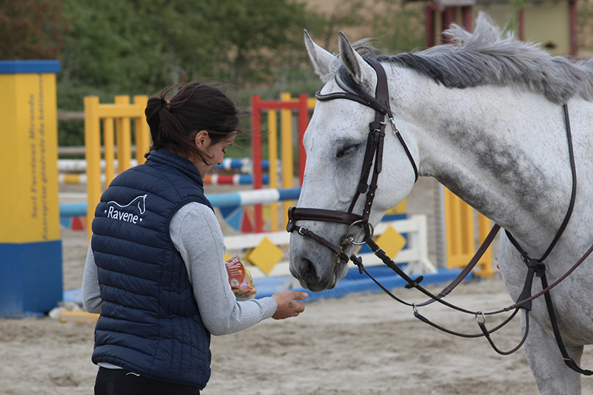 Le quotidien des chevaux de haut niveau de Camille Condé-Ferreira