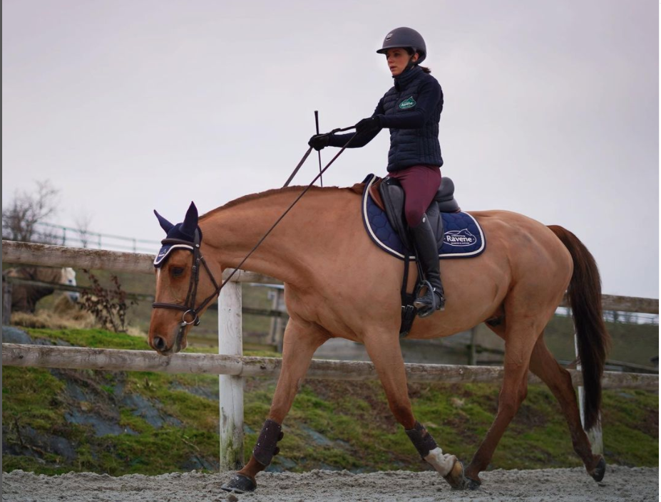 Une bonne détente du cheval pour une bonne séance